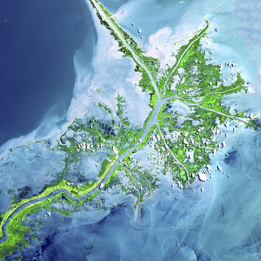Mississippi Delta